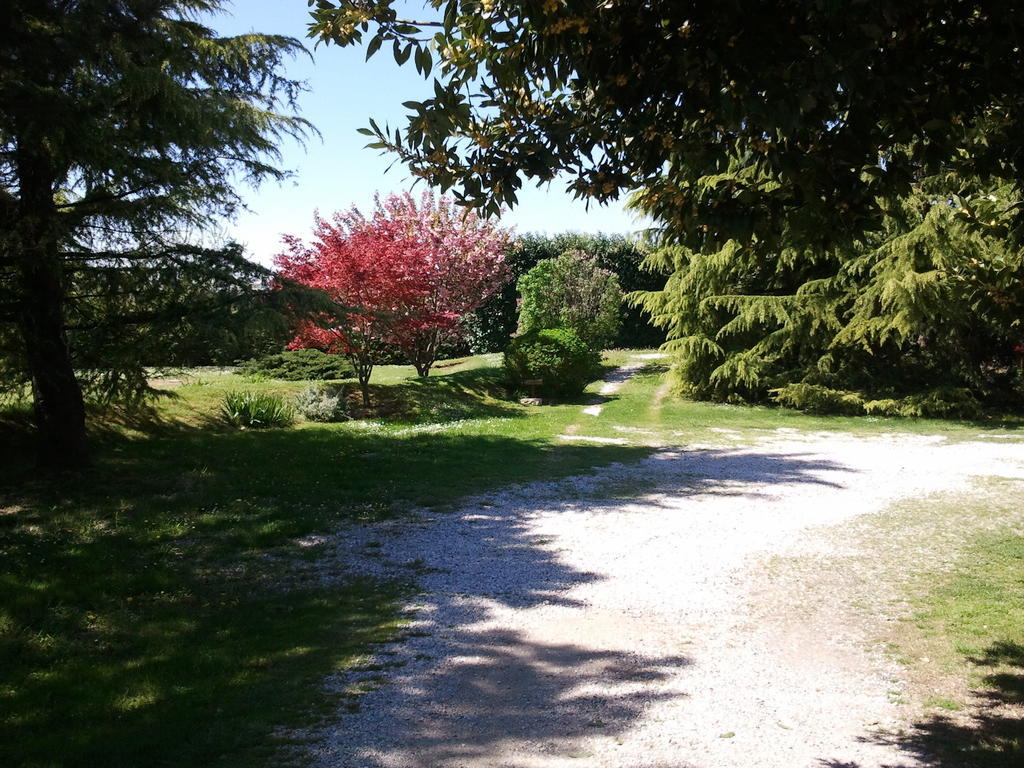 奥卡普迪住宿加早餐旅馆 布亚 外观 照片